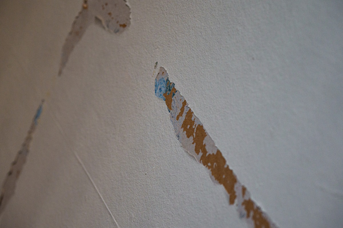 Water Extraction service in Indianapolis, IN